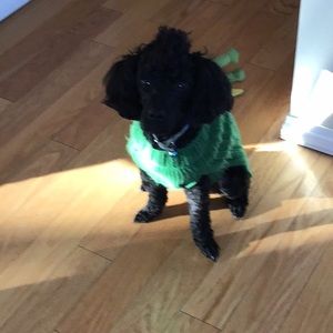 Meet your Posher, Anne